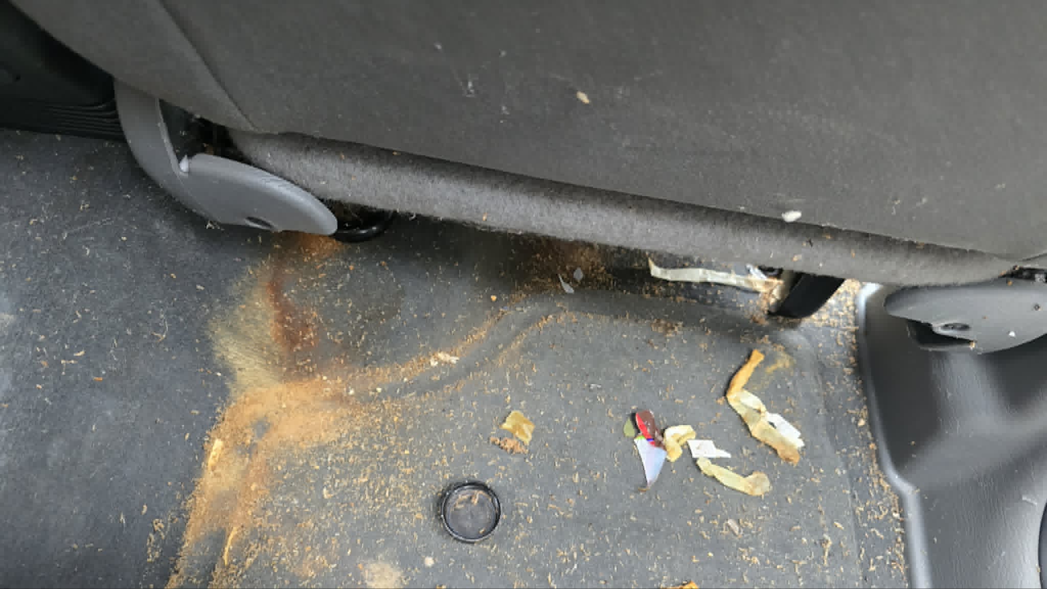 Weevil casings across the floor