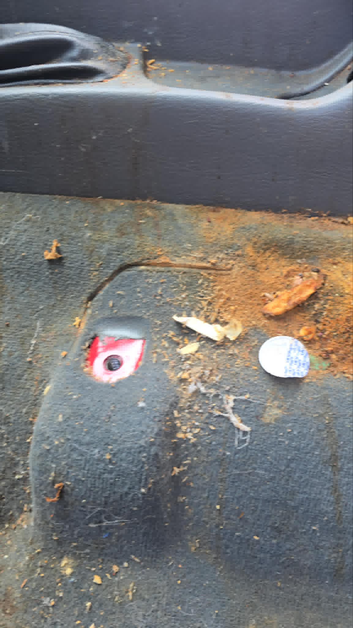 Debris in carpet