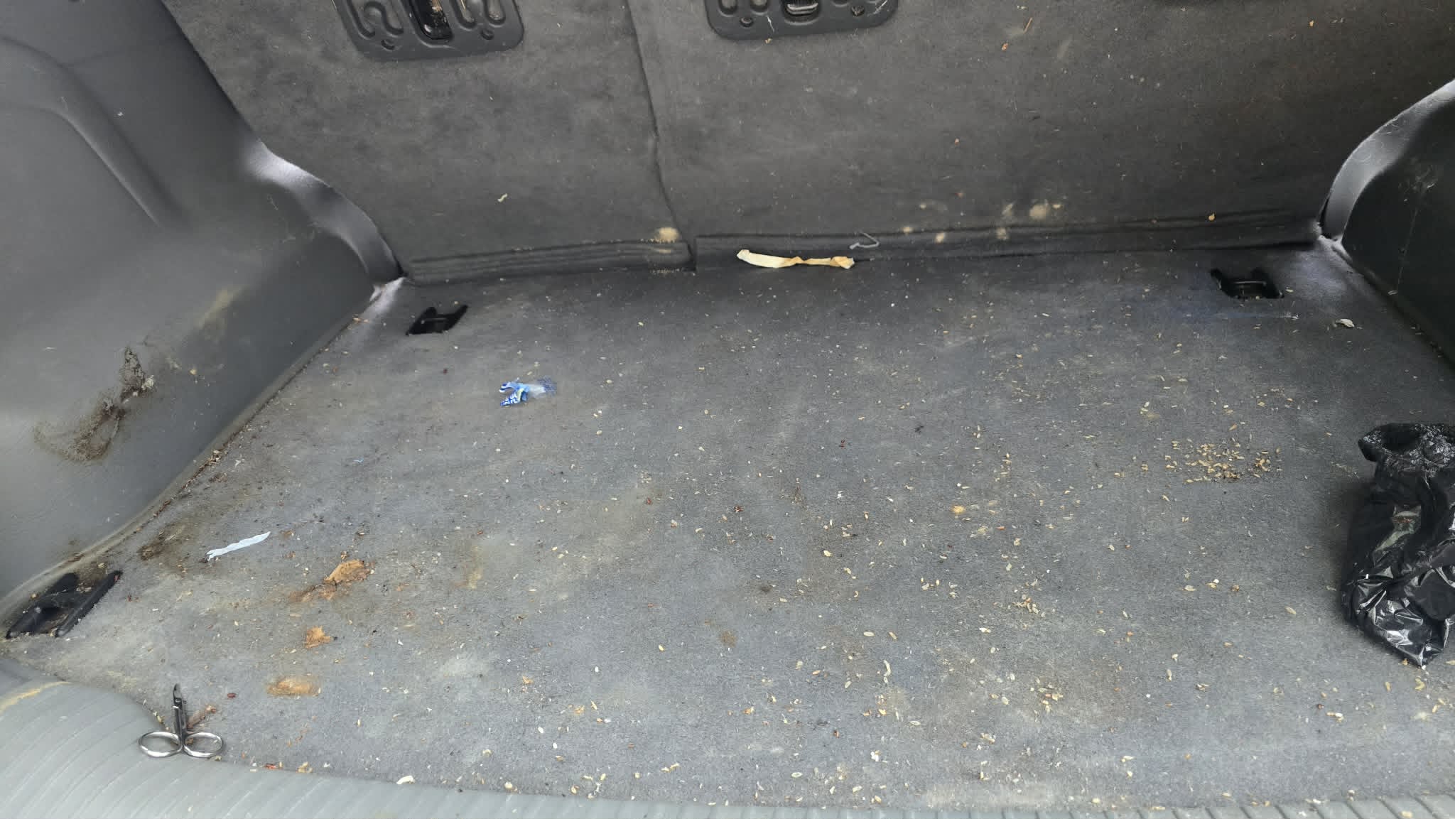 Cargo area debris